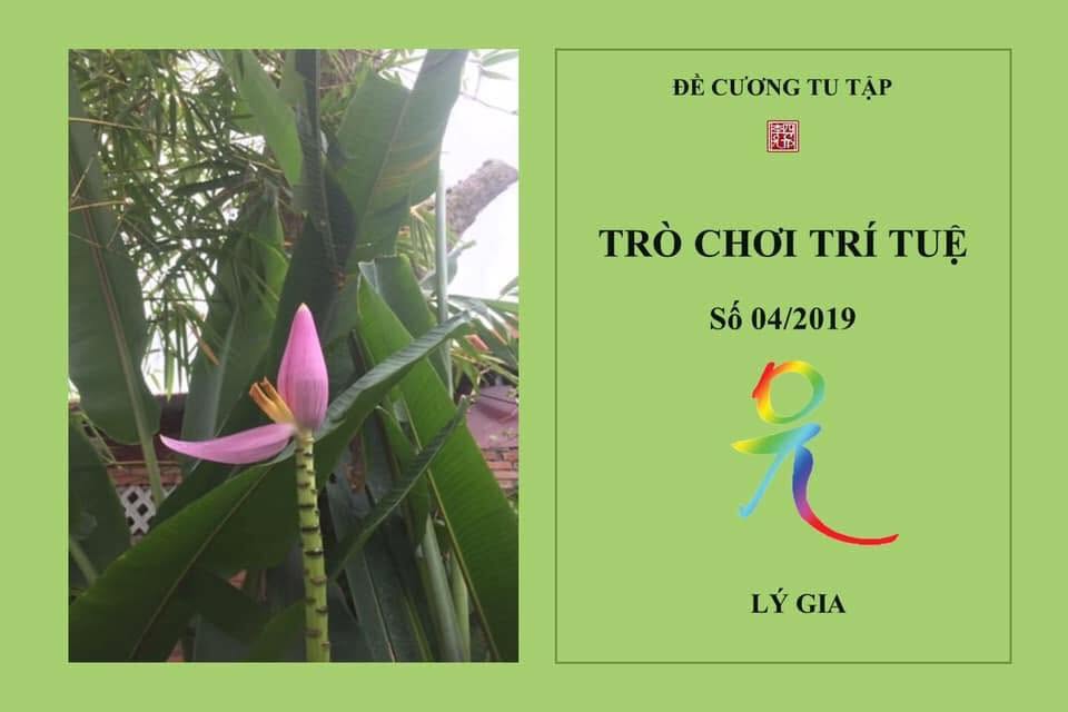 TỔNG KẾT TRÒ CHƠI TRÍ TUỆ - 04/2019